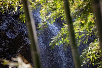 Remedy创意总监：想开发一个哥特式黑暗幻想游戏